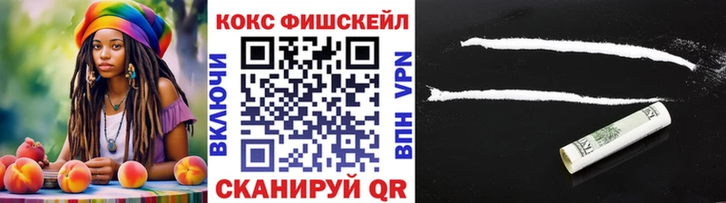 как найти наркотики  это какой сайт  COCAIN Fish Scale  Элиста 