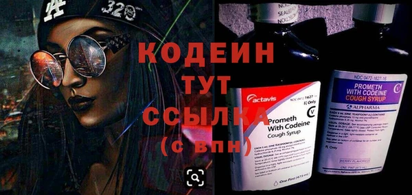 дживик Абаза