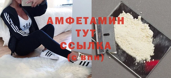 ECSTASY Алзамай