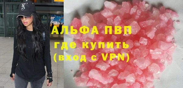гашик Алексин
