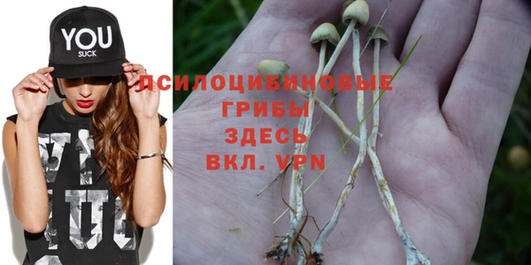 ECSTASY Алзамай
