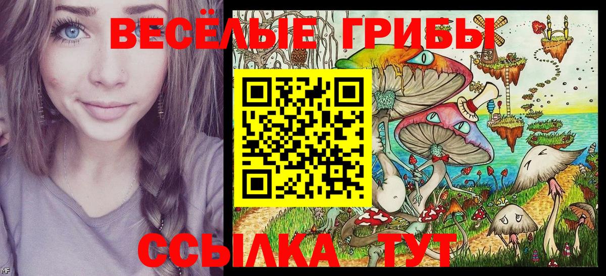 Псилоцибиновые грибы Psilocybine cubensis Элиста