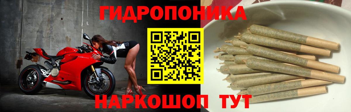 Элиста  Бошки Шишки индика  МАРИХУАНА план  МАРИХУАНА White Widow  Вход с VPN 